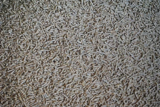 Des aliments moins riches en azote pour les agneaux