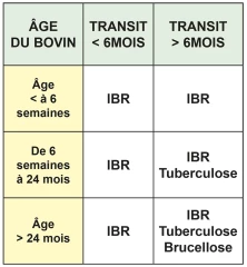 Les délais réglementaires