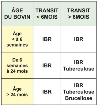 Les délais réglementaires