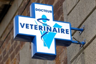 Vétérinaire rural «Une vocation, presque un sacerdoce»