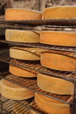 Du fromage made in Morvan en projet