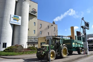 Le bel avenir du non OGM