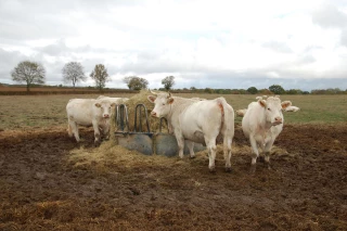 Les chiffres de la Ferme Nièvre dévoilés aux adhérents
