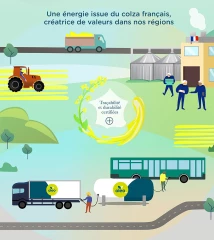 Oléo 100 un carburant très végétal