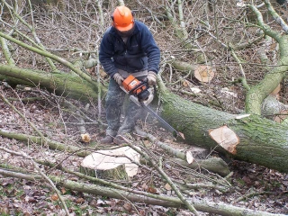 Pour une gestion raisonnée de la récolte bois-énergie