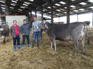 Dans la maison des grandes championnes