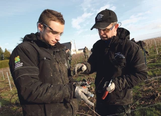 Quelques règles à connaître avant d’embaucher un apprenti