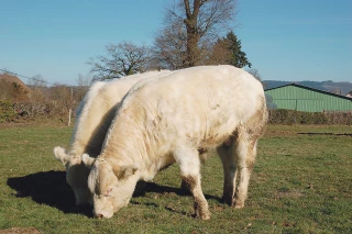 Le départ se précise