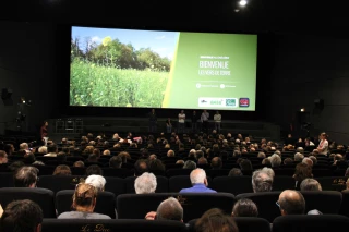 Les vers de terre, stars de cinéma