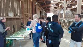Des élèves plein les cours de ferme !