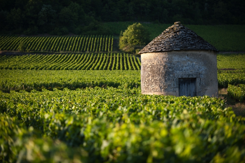 Les Climats du vignoble de Bourgogne